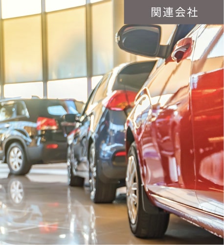 Mulberry CarCare